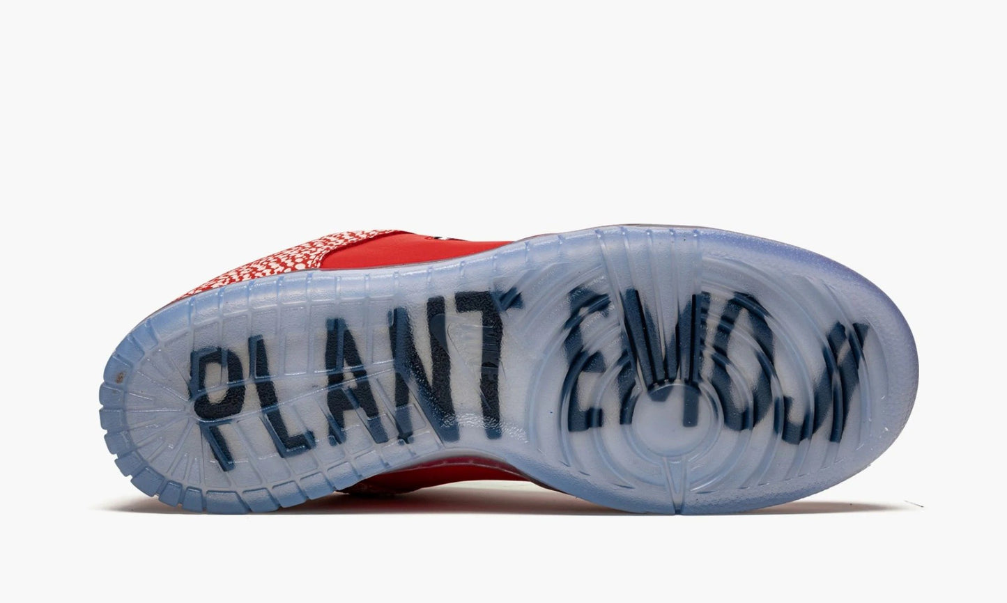 Dunk SB Low "Stingwater Magic Mushroom" - DH7650 600 | Grailshop