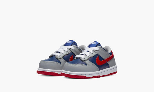 Dunk Low TD "Samba"